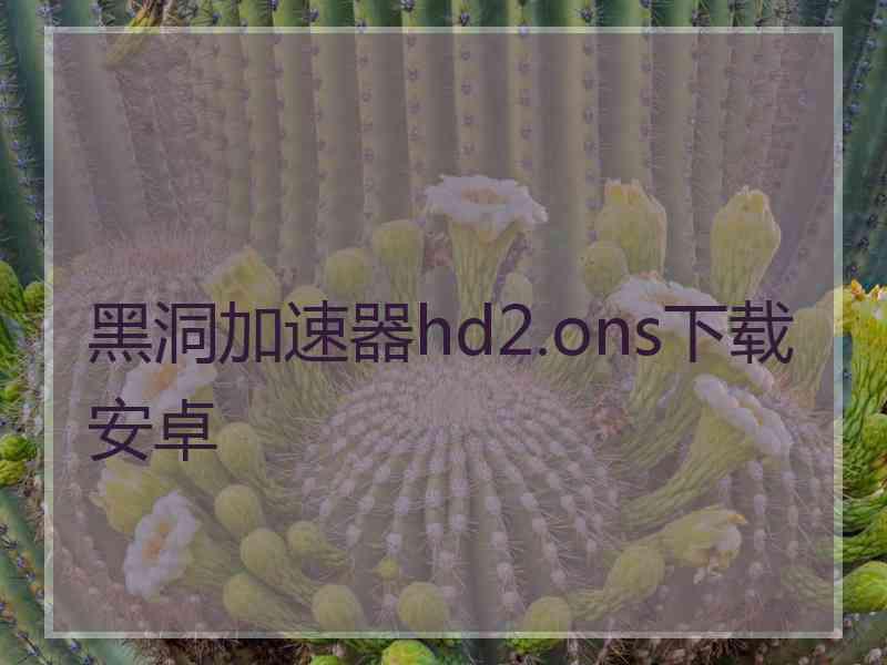 黑洞加速器hd2.ons下载安卓