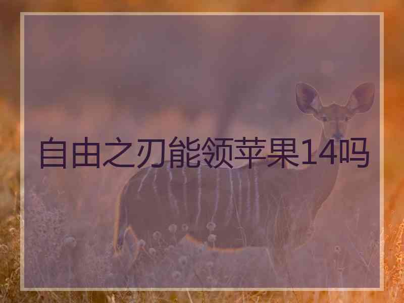 自由之刃能领苹果14吗