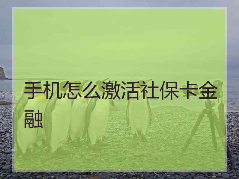 手机怎么激活社保卡金融