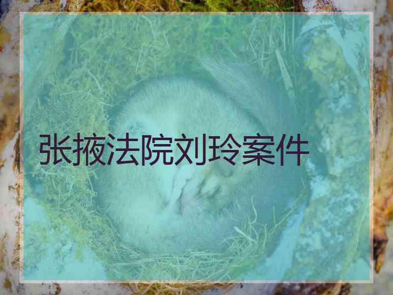 张掖法院刘玲案件