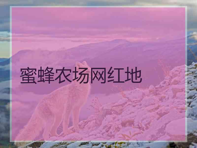 蜜蜂农场网红地