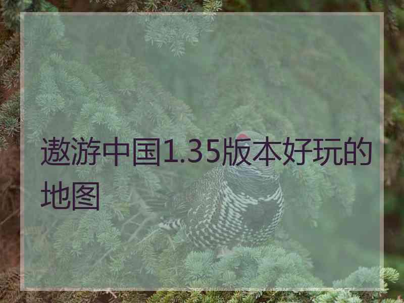 遨游中国1.35版本好玩的地图