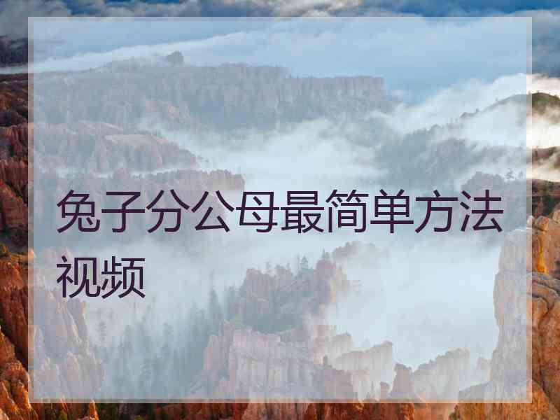 兔子分公母最简单方法视频