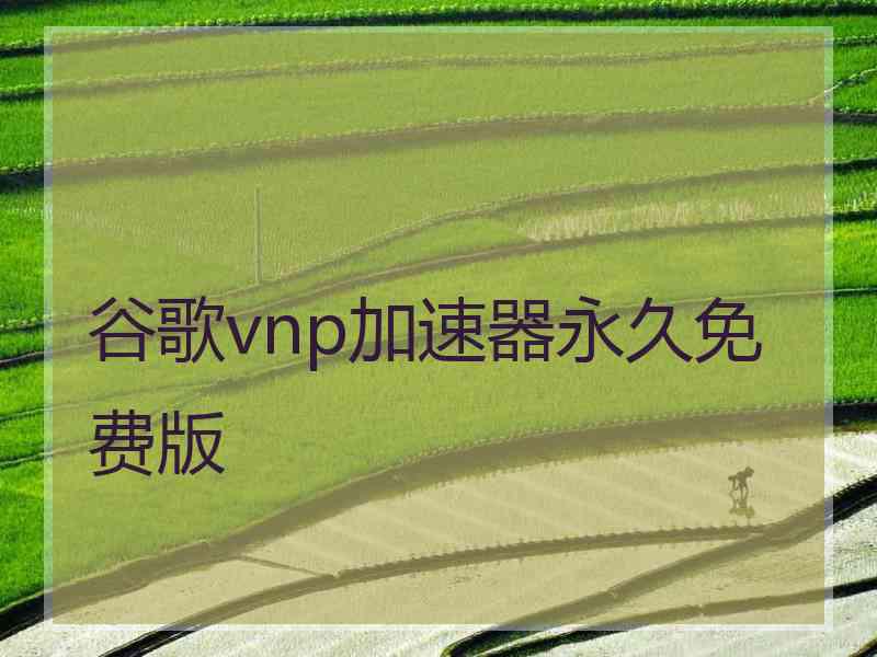 谷歌vnp加速器永久免费版