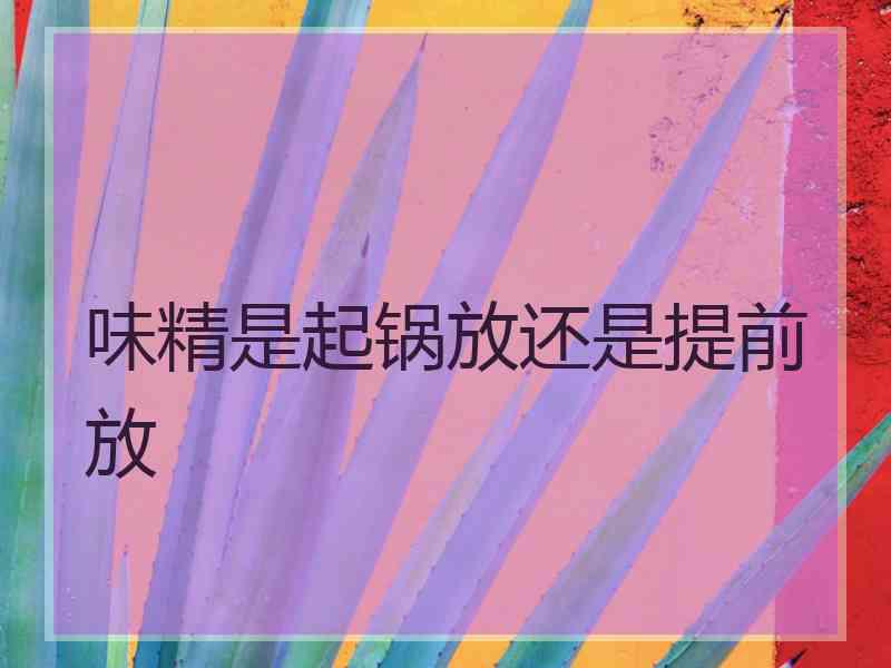 味精是起锅放还是提前放