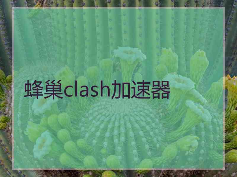 蜂巢clash加速器