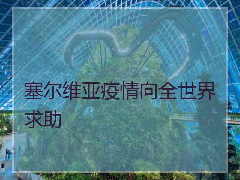 塞尔维亚疫情向全世界求助