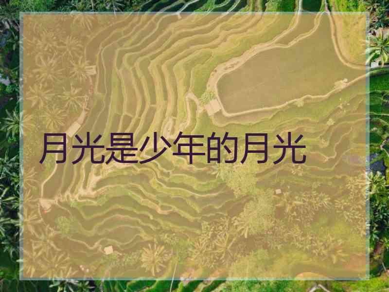 月光是少年的月光