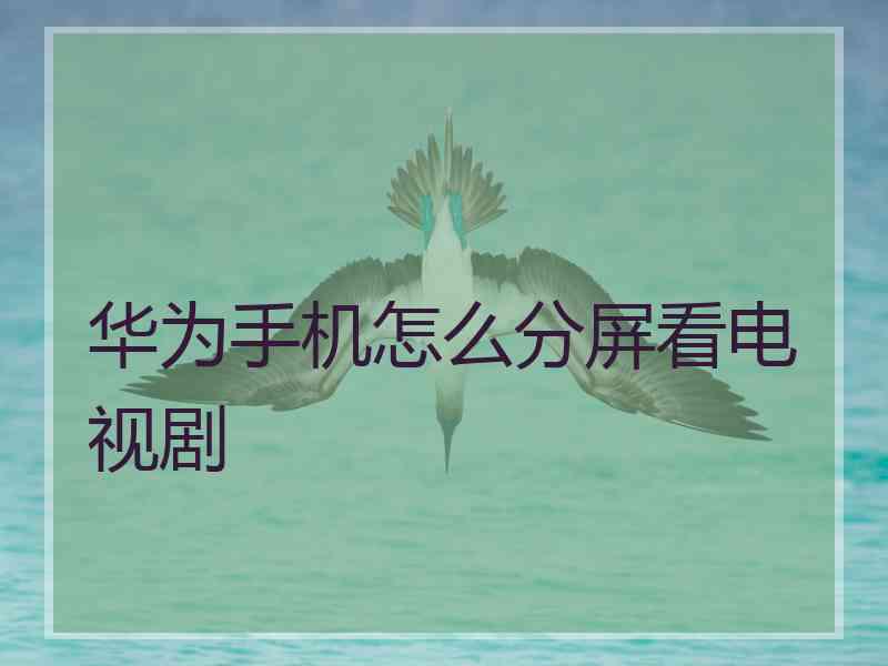 华为手机怎么分屏看电视剧