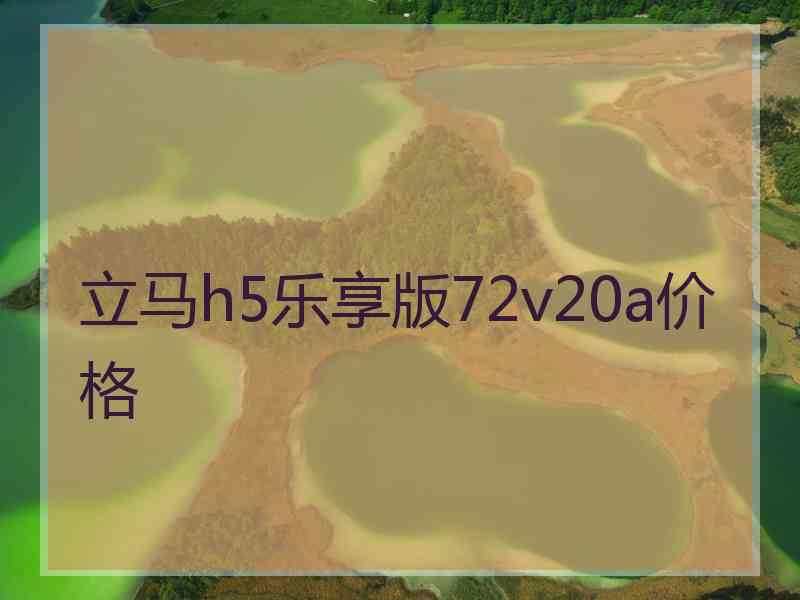 立马h5乐享版72v20a价格