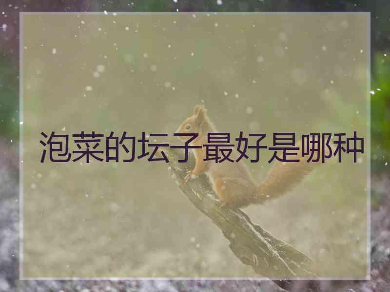 泡菜的坛子最好是哪种