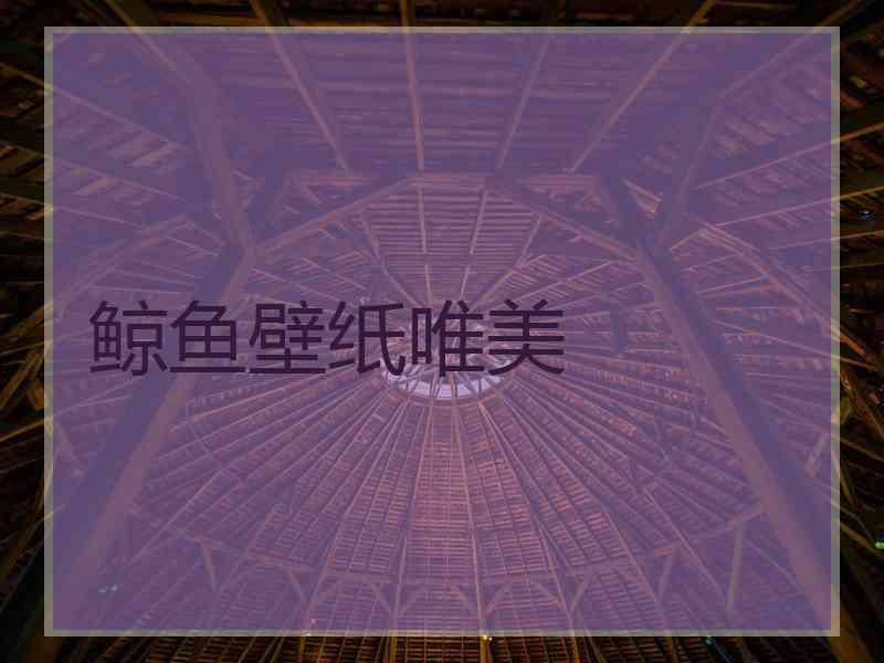 鲸鱼壁纸唯美