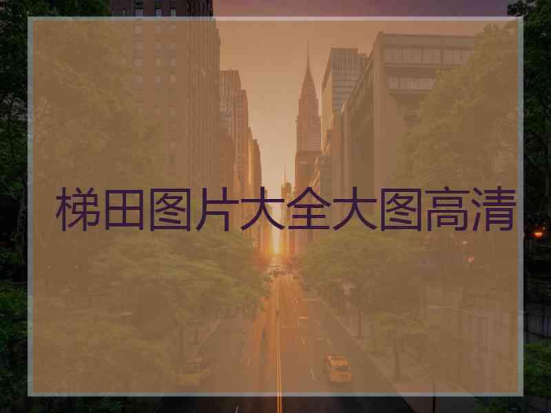 梯田图片大全大图高清