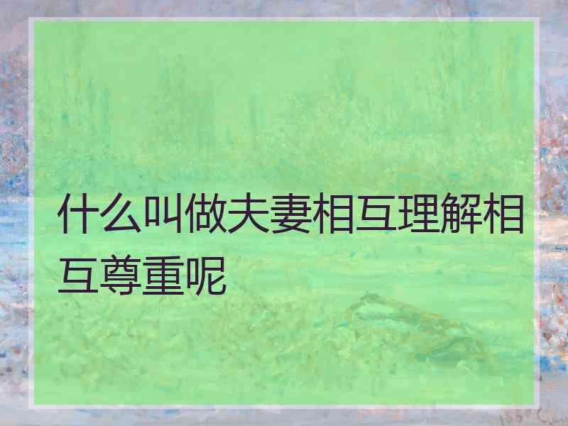 什么叫做夫妻相互理解相互尊重呢