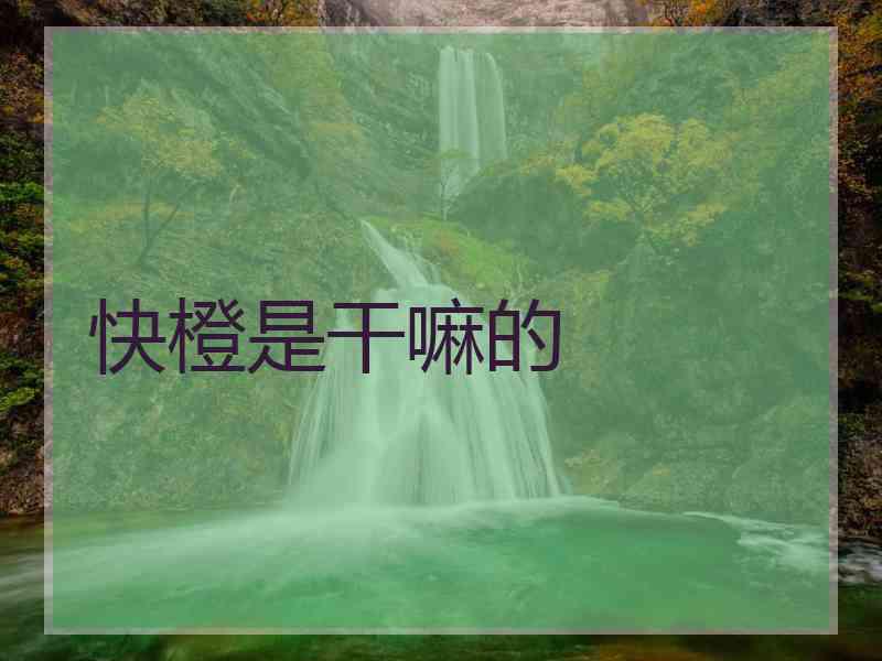 快橙是干嘛的