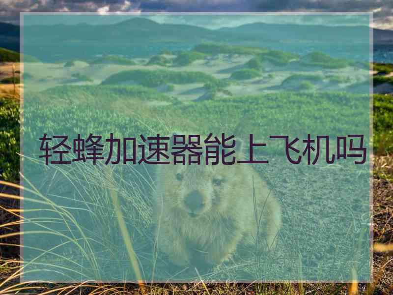 轻蜂加速器能上飞机吗