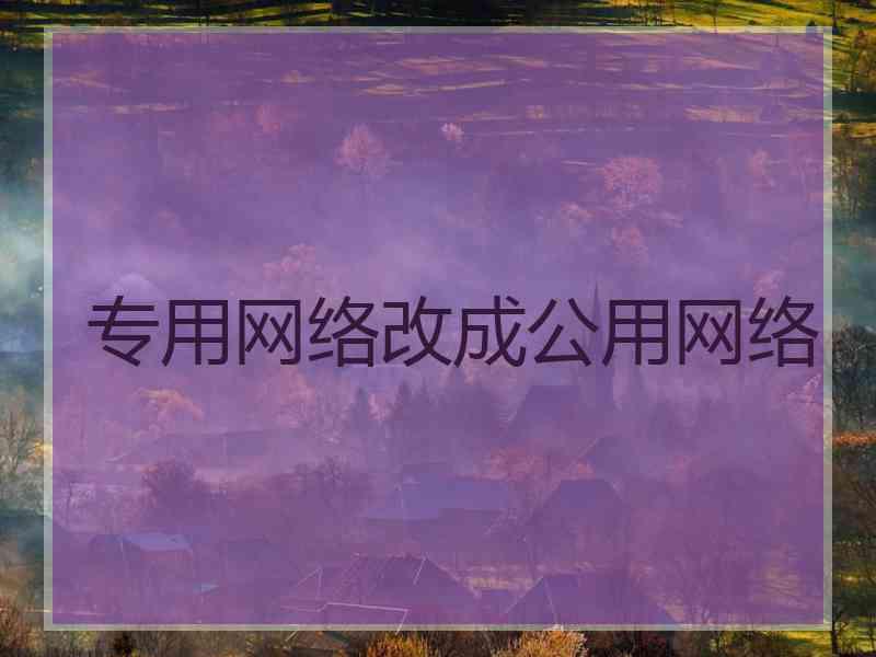 专用网络改成公用网络