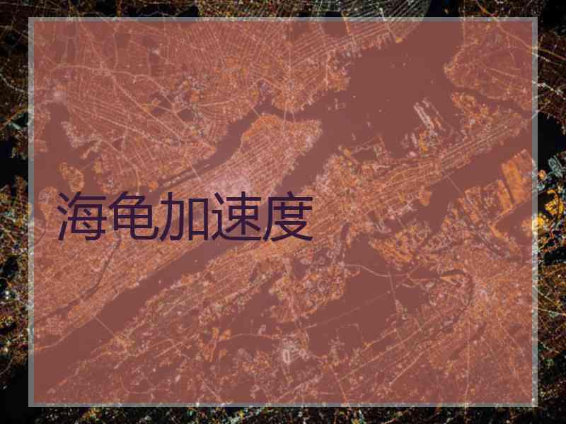 海龟加速度