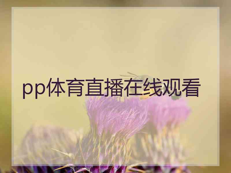 pp体育直播在线观看