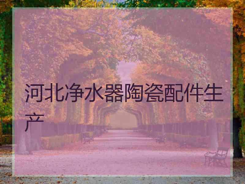 河北净水器陶瓷配件生产