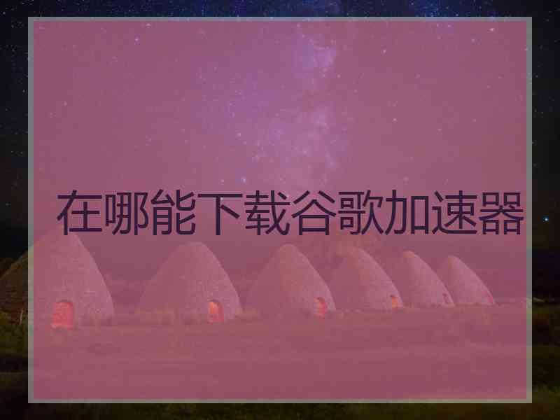 在哪能下载谷歌加速器