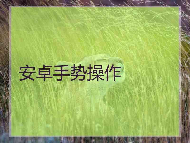 安卓手势操作