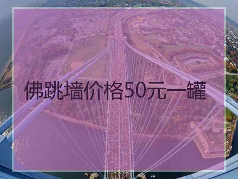 佛跳墙价格50元一罐