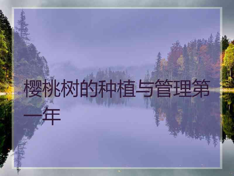 樱桃树的种植与管理第一年