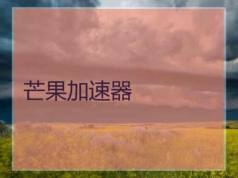 芒果加速器