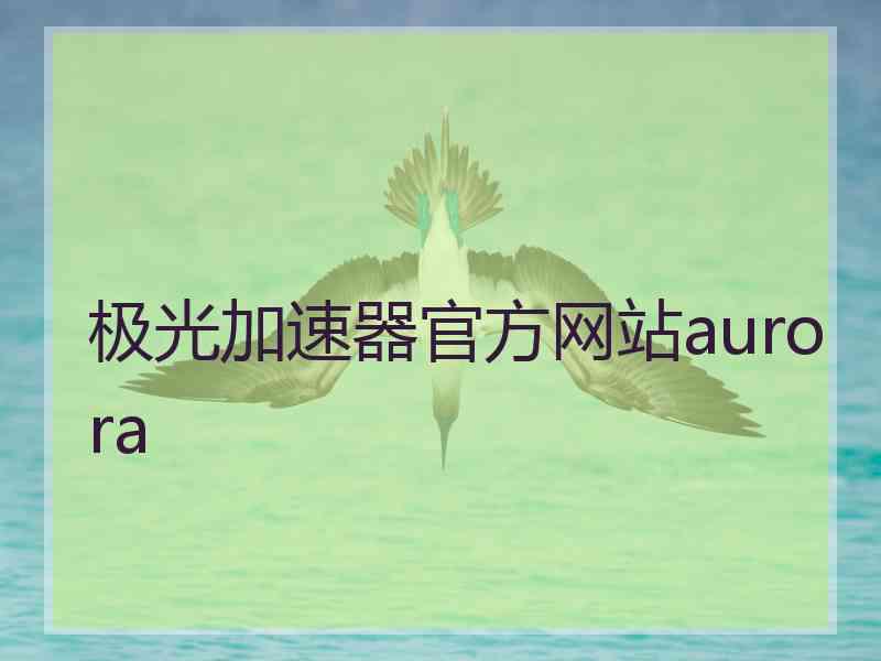 极光加速器官方网站aurora