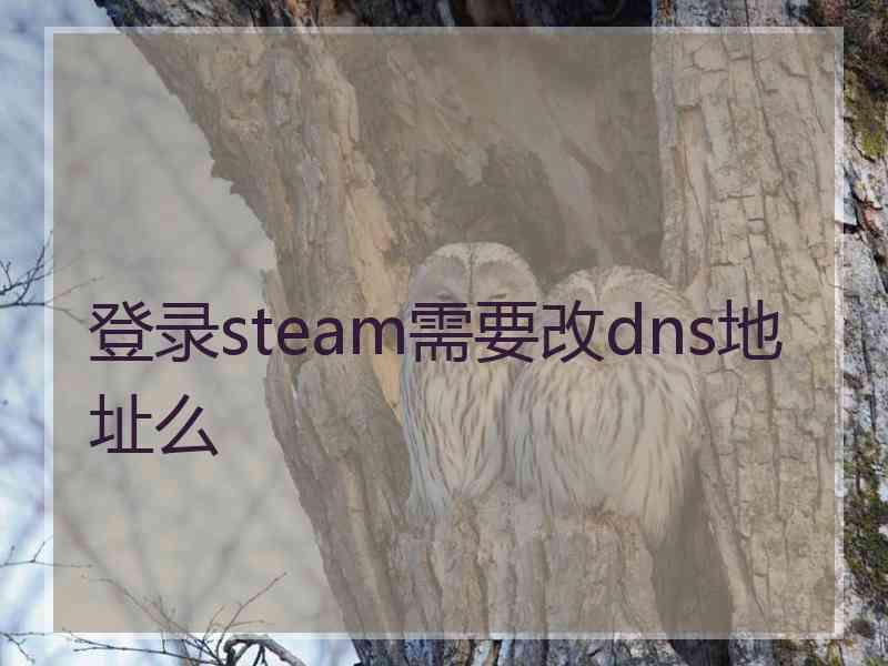 登录steam需要改dns地址么