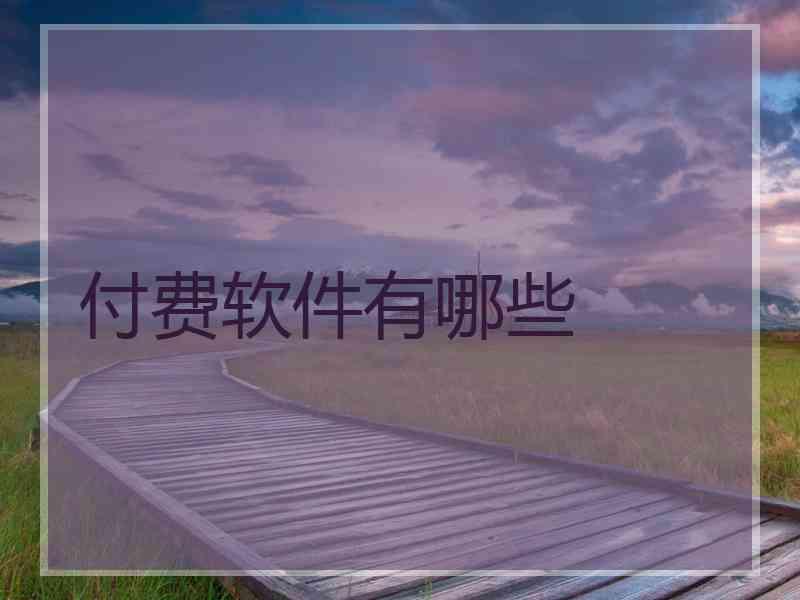 付费软件有哪些