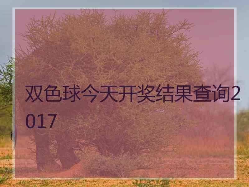双色球今天开奖结果查询2017