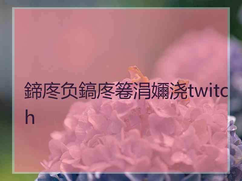 鍗庝负鎬庝箞涓嬭浇twitch