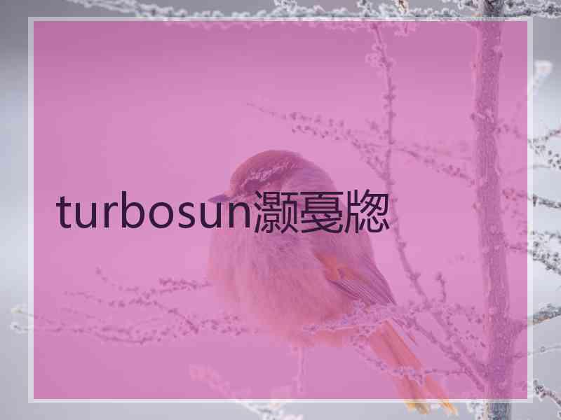 turbosun灏戞牎