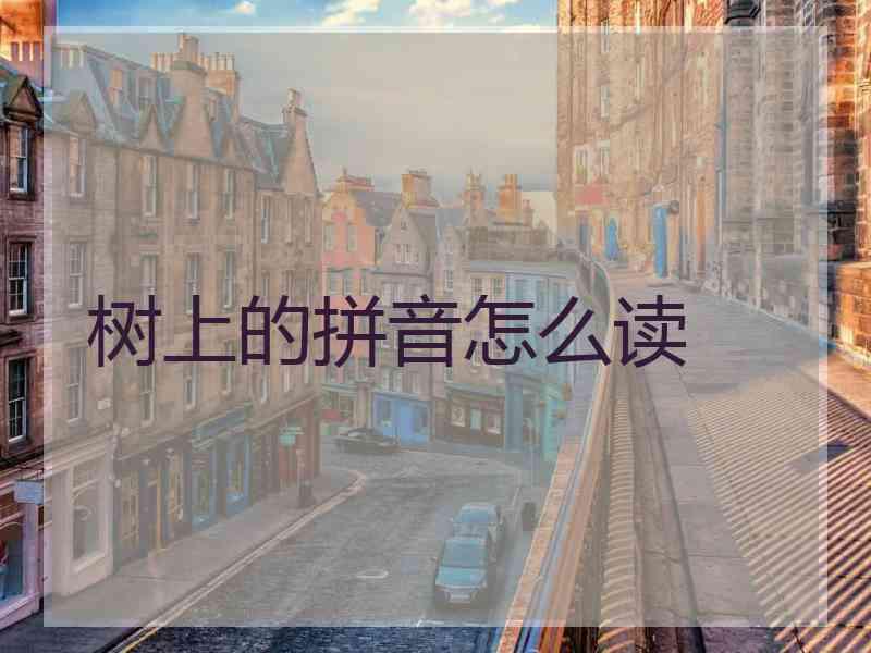 树上的拼音怎么读