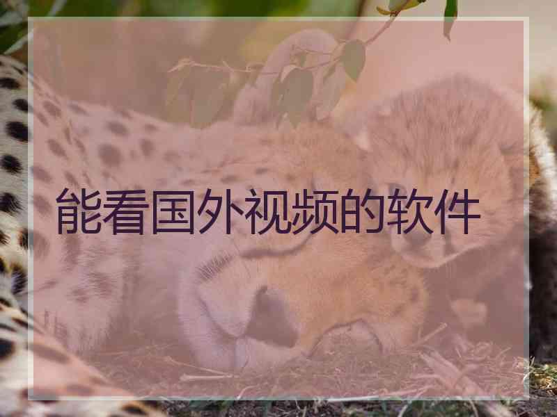 能看国外视频的软件