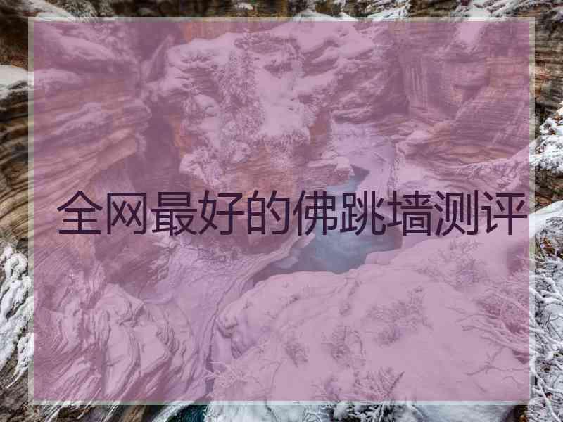 全网最好的佛跳墙测评