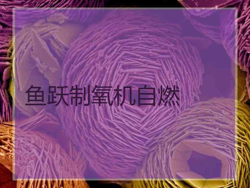 鱼跃制氧机自燃