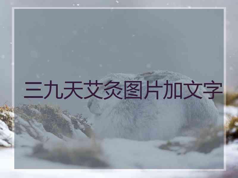 三九天艾灸图片加文字