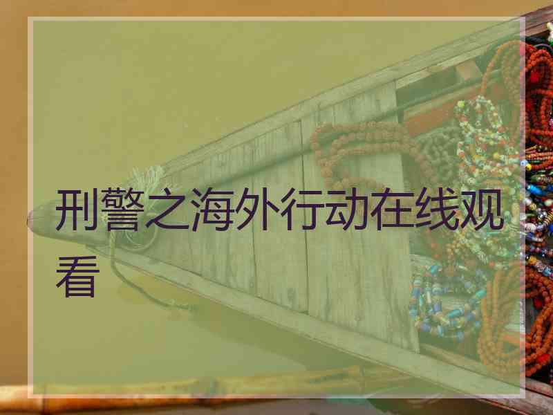 刑警之海外行动在线观看