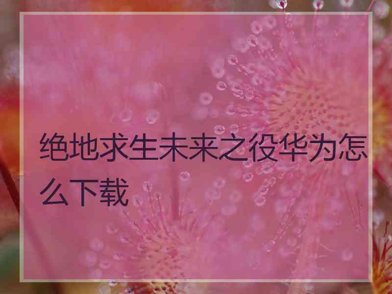 绝地求生未来之役华为怎么下载