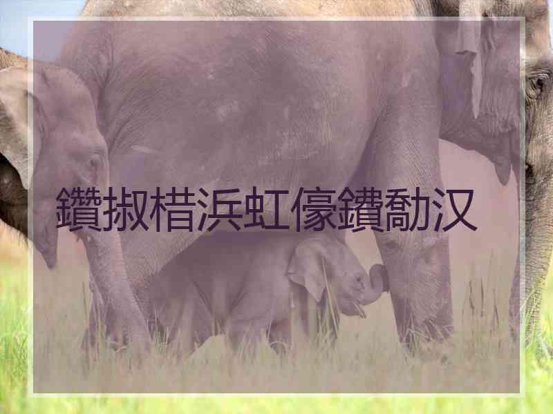 鑽掓棤浜虹儫鐨勪汉