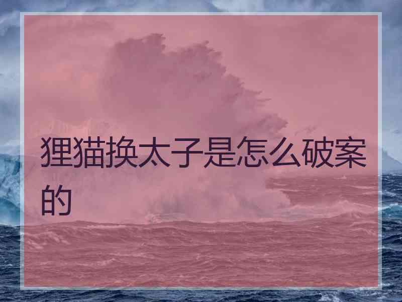 狸猫换太子是怎么破案的