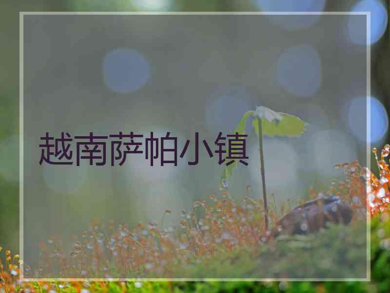 越南萨帕小镇