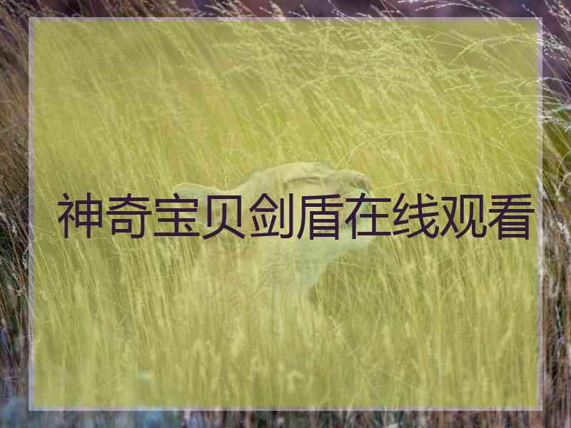 神奇宝贝剑盾在线观看