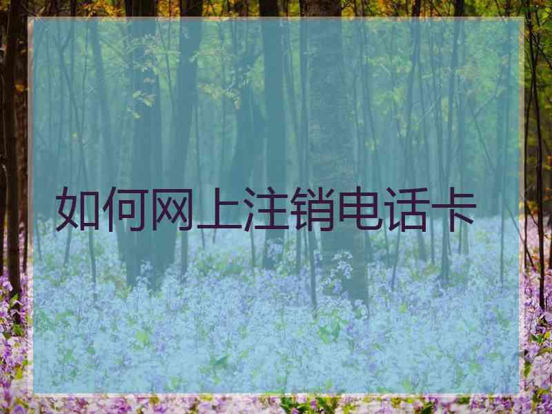 如何网上注销电话卡