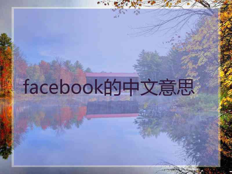 facebook的中文意思
