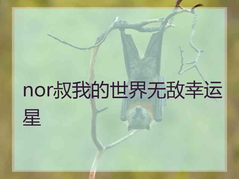 nor叔我的世界无敌幸运星