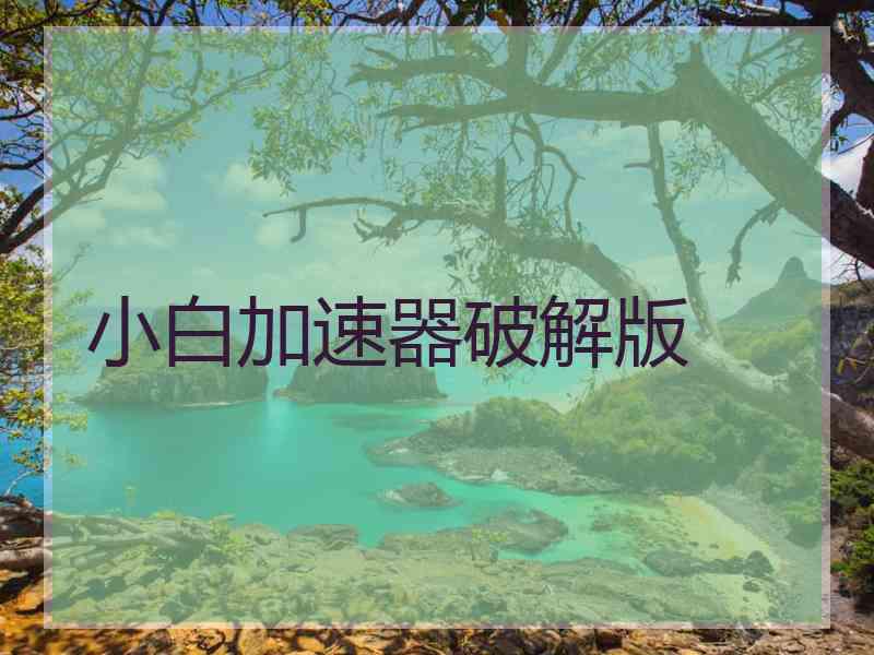 小白加速器破解版